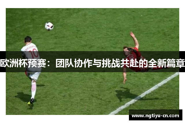 欧洲杯预赛：团队协作与挑战共赴的全新篇章