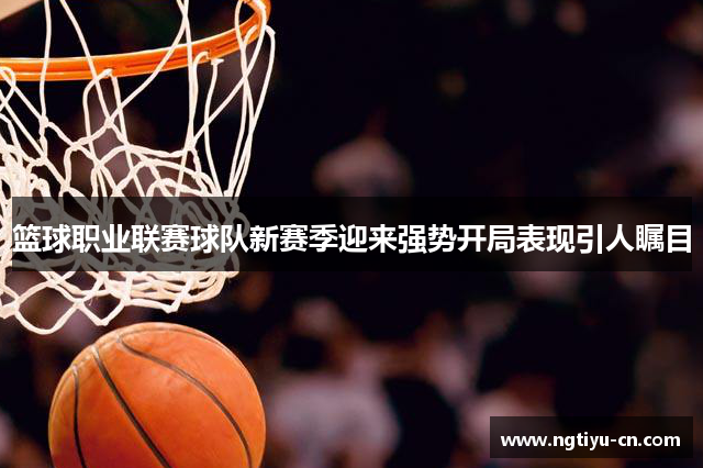 篮球职业联赛球队新赛季迎来强势开局表现引人瞩目