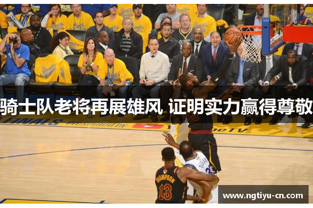 骑士队老将再展雄风 证明实力赢得尊敬