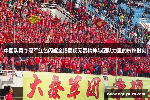 中国队勇夺冠军红色闪耀全场展现无畏精神与团队力量的辉煌时刻