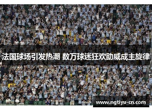 法国球场引发热潮 数万球迷狂欢助威成主旋律