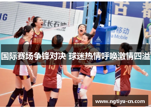 国际赛场争锋对决 球迷热情呼唤激情四溢