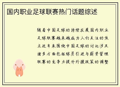 国内职业足球联赛热门话题综述