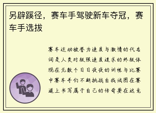 另辟蹊径，赛车手驾驶新车夺冠，赛车手选拔