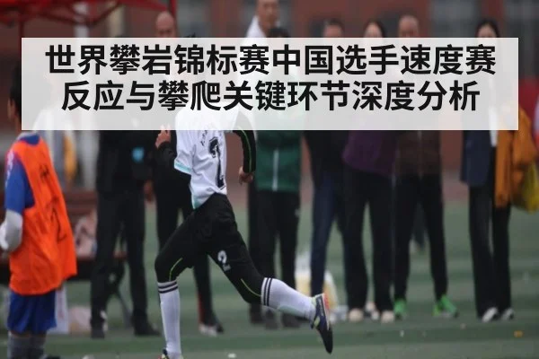 世界攀岩锦标赛中国选手速度赛反应与攀爬关键环节深度分析