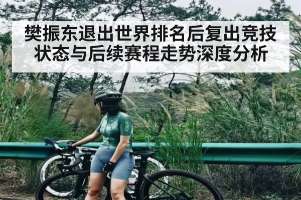樊振东退出世界排名后复出竞技状态与后续赛程走势深度分析